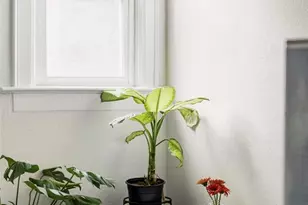 1727 Dahlia St, Denver, CO 80220 - Photo 19