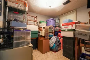 9155 E Oxford Dr, Denver, CO 80237 - Photo 23