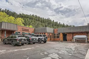 8352 Martin Ln, Conifer, CO 80433 - Photo 23
