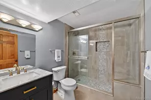 9696 E Sand Lily Ln, Parker, CO 80134 - Photo 37