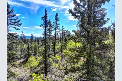 820 Overland Circle, Jefferson, CO 80456 - Photo 5
