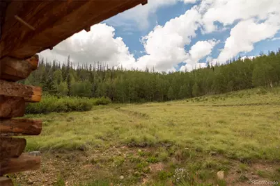 1001 Cr 17 Cebolla Cabin, Lake City, CO 81235 - Photo 11