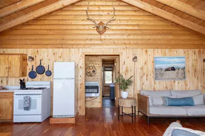 1001 Cr 17 Cebolla Cabin, Lake City, CO 81235 - Photo 5