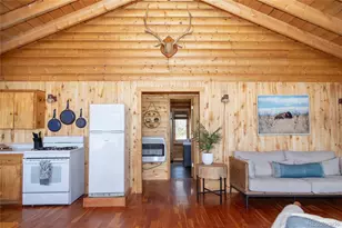1001 Cr 17 Cebolla Cabin, Lake City, CO 81235 - Photo 5