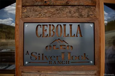 1001 Cr 17 Cebolla Cabin, Lake City, CO 81235 - Photo 3