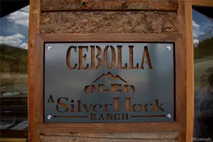 1001 Cr 17 Cebolla Cabin, Lake City, CO 81235 - Photo 3