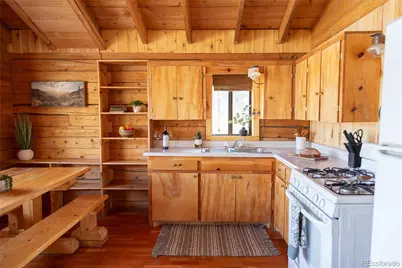 1001 Cr 17 Cebolla Cabin, Lake City, CO 81235 - Photo 21