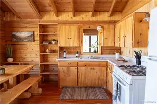 1001 Cr 17 Cebolla Cabin, Lake City, CO 81235 - Photo 21