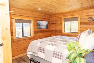1001 Cr 17 Cebolla Cabin, Lake City, CO 81235 - Photo 33