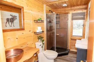 1001 Cr 17 Cebolla Cabin, Lake City, CO 81235 - Photo 25