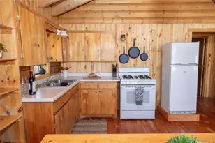 1001 Cr 17 Cebolla Cabin, Lake City, CO 81235 - Photo 35