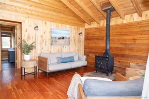 1001 Cr 17 Cebolla Cabin, Lake City, CO 81235 - Photo 17