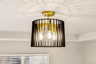 10858 Fairmont Ln, Highlands Ranch, CO 80126 - Photo 21