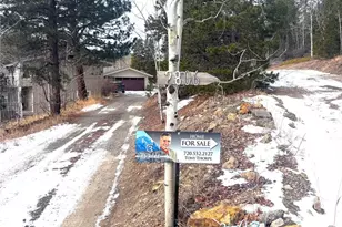 2806 Upper Apex Rd, Black Hawk, CO 80422 - Photo 23