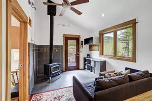 3049 Cr-6, Alma, CO 80440 - Photo 9