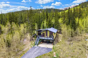 3049 Cr-6, Alma, CO 80440 - Photo 37