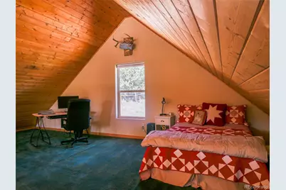 314 S Antelope Trail, Cotopaxi, CO 81223 - Photo 9