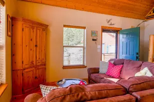 314 S Antelope Trail, Cotopaxi, CO 81223 - Photo 7