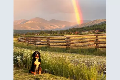 277 Hay Meadow Drive, Fraser, CO 80442 - Photo 3