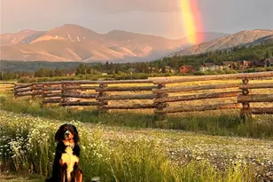 277 Hay Meadow Dr, Fraser, CO 80442 - Photo 3