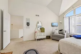 1011 S Valentia Street, Denver, CO 80247 - Photo 19