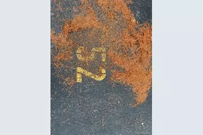 9725 E Harvard Avenue #460, Denver, CO 80231 - Photo 7