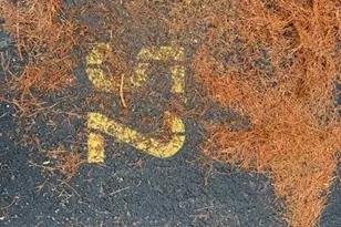 9725 E Harvard Ave, Denver, CO 80231 - Photo 7