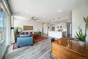9913 Truckee St, Commerce City, CO 80022 - Photo 9