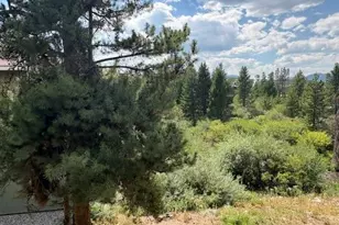 471 Hi Country Dr, Winter Park, CO 80482 - Photo 21