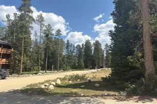 471 Hi Country Dr, Winter Park, CO 80482 - Photo 3