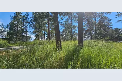 27903 Pine Drive, Evergreen, CO 80439 - Photo 7