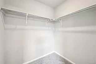 8779 Whiteclover St, Littleton, CO 80125 - Photo 43