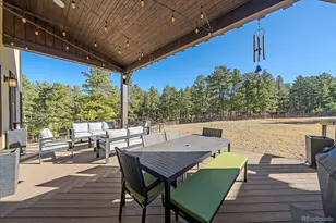 230 S Big Meadow Trail, Franktown, CO 80116 - Photo 39