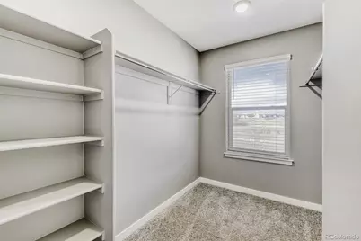 13935 Wild Lupine Street, Parker, CO 80134 - Photo 13