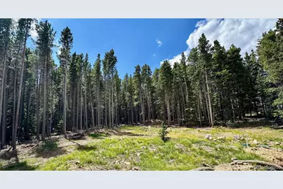 312 Sawmill Lane, Idaho Springs, CO 80452 - Photo 5