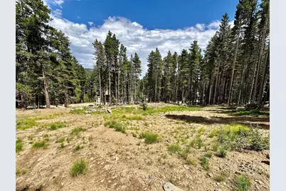 312 Sawmill Lane, Idaho Springs, CO 80452 - Photo 7