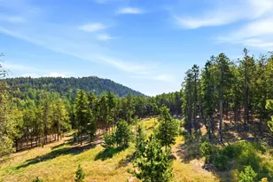 10594 Crystal Dr, Morrison, CO 80465 - Photo 9