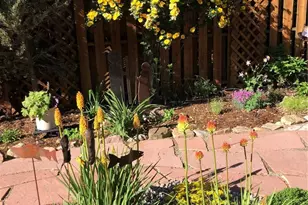 309 Grant St, Salida, CO 81201 - Photo 7