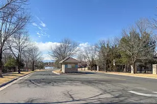 7 Sandpiper Cir, Thornton, CO 80241 - Photo 47