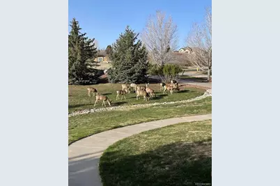 1111 Annabar Drive, Castle Rock, CO 80108 - Photo 45