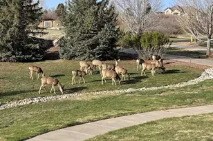 1111 Annabar Dr, Castle Rock, CO 80108 - Photo 45