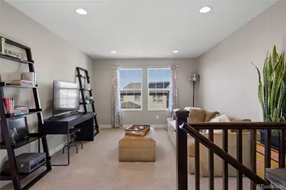 393 Midden Place, Castle Rock, CO 80104 - Photo 17