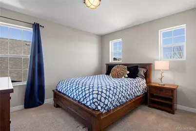 393 Midden Place, Castle Rock, CO 80104 - Photo 25