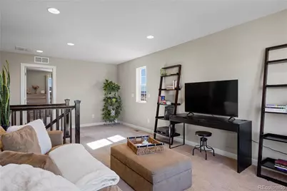 393 Midden Place, Castle Rock, CO 80104 - Photo 19