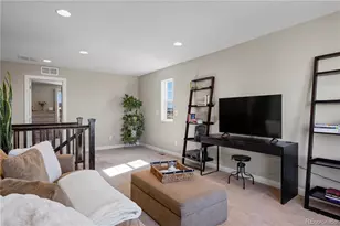 393 Midden Pl, Castle Rock, CO 80104 - Photo 19