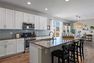 393 Midden Pl, Castle Rock, CO 80104 - Photo 11