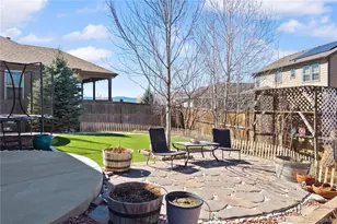 393 Midden Pl, Castle Rock, CO 80104 - Photo 33
