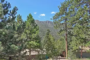 4455 Heizer St, Cascade, CO 80809 - Photo 37