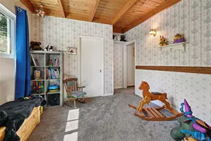 4455 Heizer St, Cascade, CO 80809 - Photo 29
