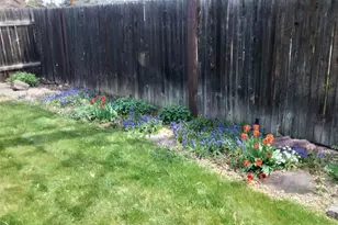 10610 W 78th Ave, Arvada, CO 80005 - Photo 27